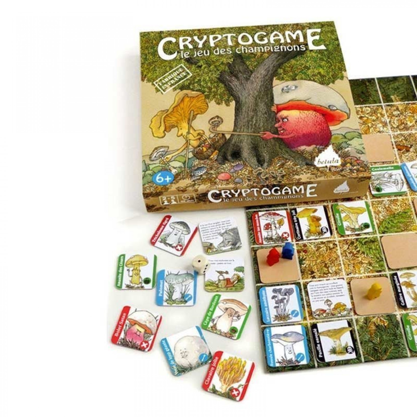 Cryptogame le jeu des Champignons - Betula | Jeujouethique.com