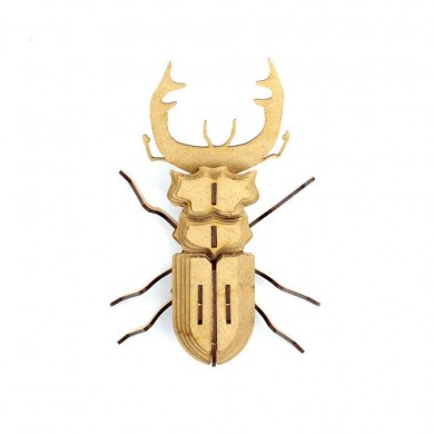 Insecte en bois et cuir - Mordicus - Agent Paper
