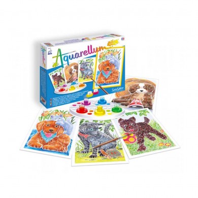 Aquarellum Junior - Chiots - Sentosphère