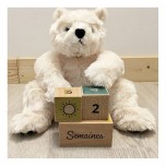 Cubes en bois Naissance - Bienvenue Bébé - Fraise et Bois