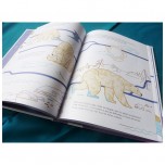 Livre - Suis du doigt l'ours polaire - Les Éditions La Cabane Bleue