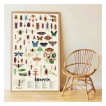 Poster découverte en stickers - Les Insectes - Poppik