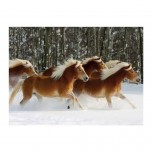 Puzzle spécial 239 pièces - Difficile - Cheval Haflinger  - DToys