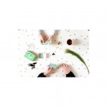 Zenmaster - Helvetiq