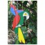 Mobile Grand perroquet - Ara vert 30 cm - Fabricant Allemand